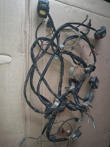 Italjet formula wiring loom - italjet,